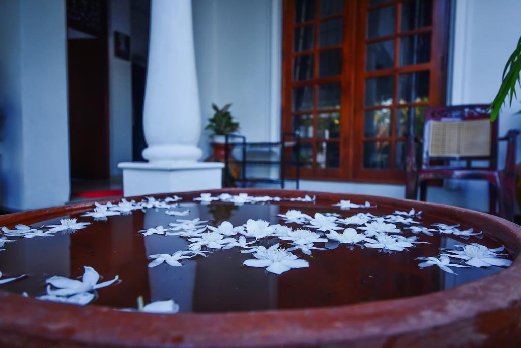Asian Villa ネゴンボ エクステリア 写真